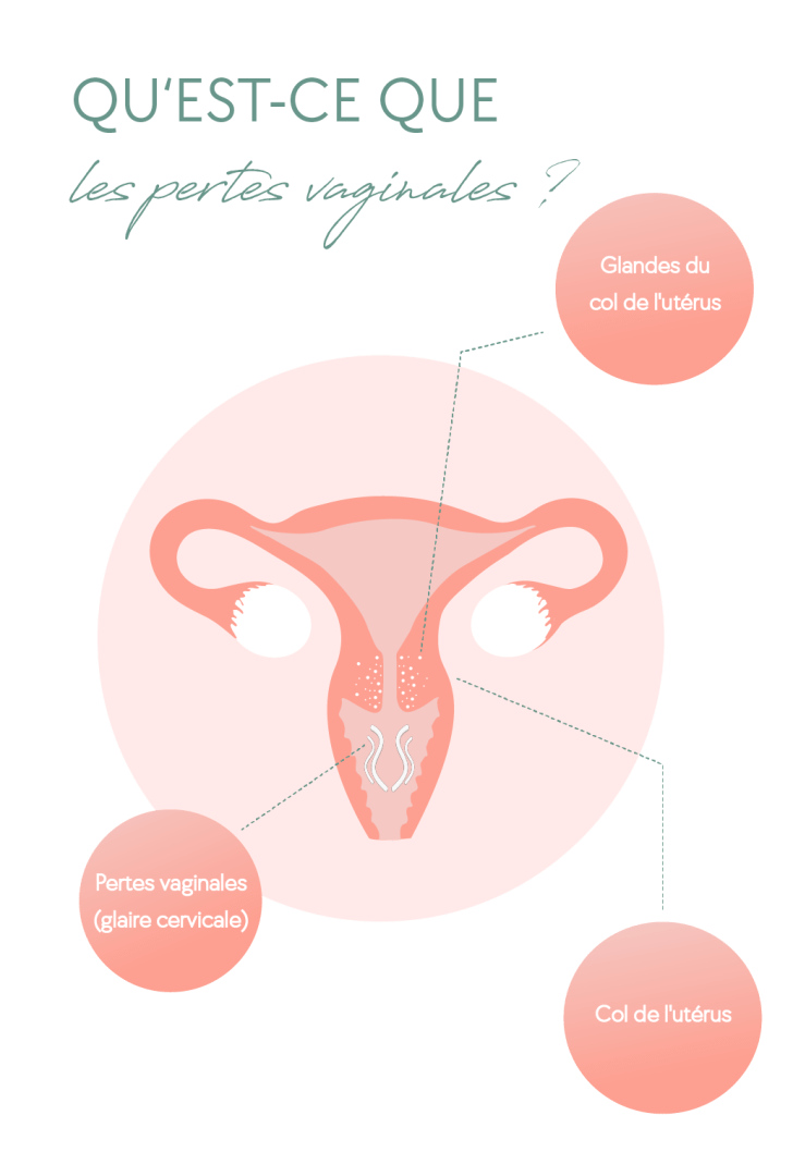 Qu'est-ce que les pertes vaginales?